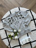 Heel goed grijs Seattle sweater trui Zeeman 122 128 hoodie, Zeeman, Jongen of Meisje, Trui of Vest, Ophalen of Verzenden