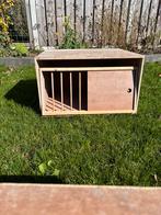 Duivenbroedbak / koppelingsbak, Mannelijk, Postduif