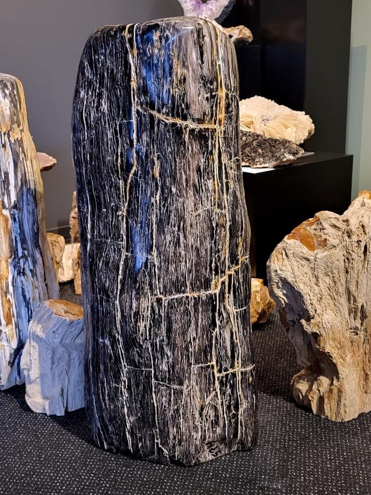 Versteend hout, 75cm hoog,  60 kg+, 350,- euro, bij Arnold., Ophalen of Verzenden, Mineraal