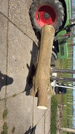 Paulownia tomentosa stam boomstam hout om te draaien, Minder dan 3 m³, Ophalen