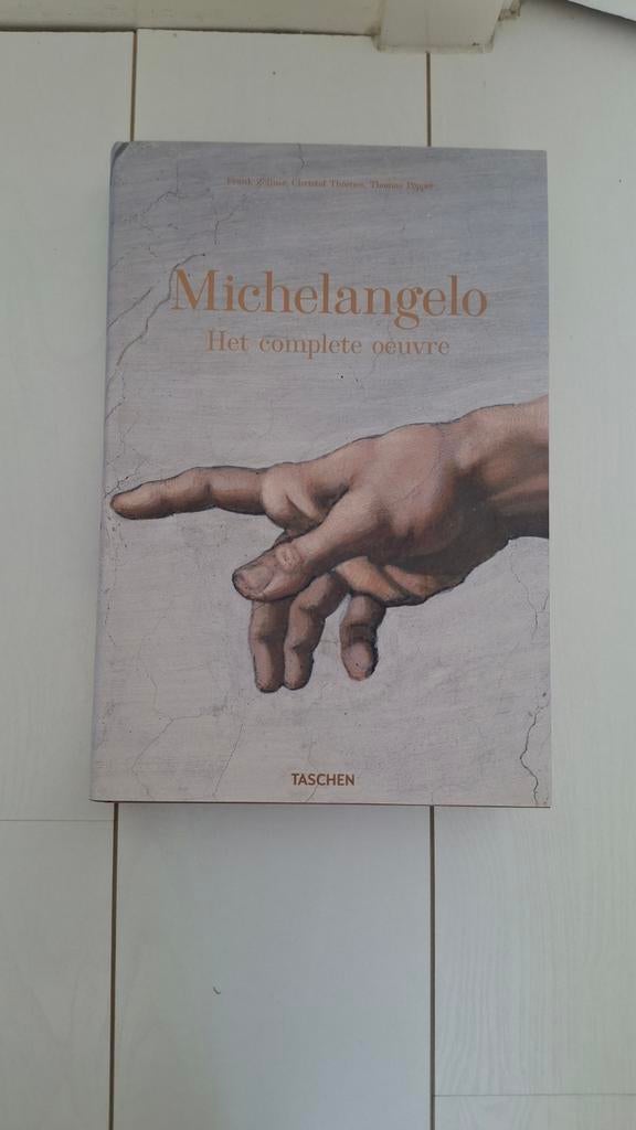 Complete oeuvre Michelangelo boek, Ophalen of Verzenden, Fotografen