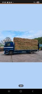 Kleine baaltjes hooi, Dieren en Toebehoren, Dierenvoeding, Ophalen of Verzenden, Vee