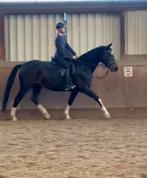 VERZORGER AANGEBODEN, Dieren en Toebehoren, Ophalen of Verzenden, Nieuw