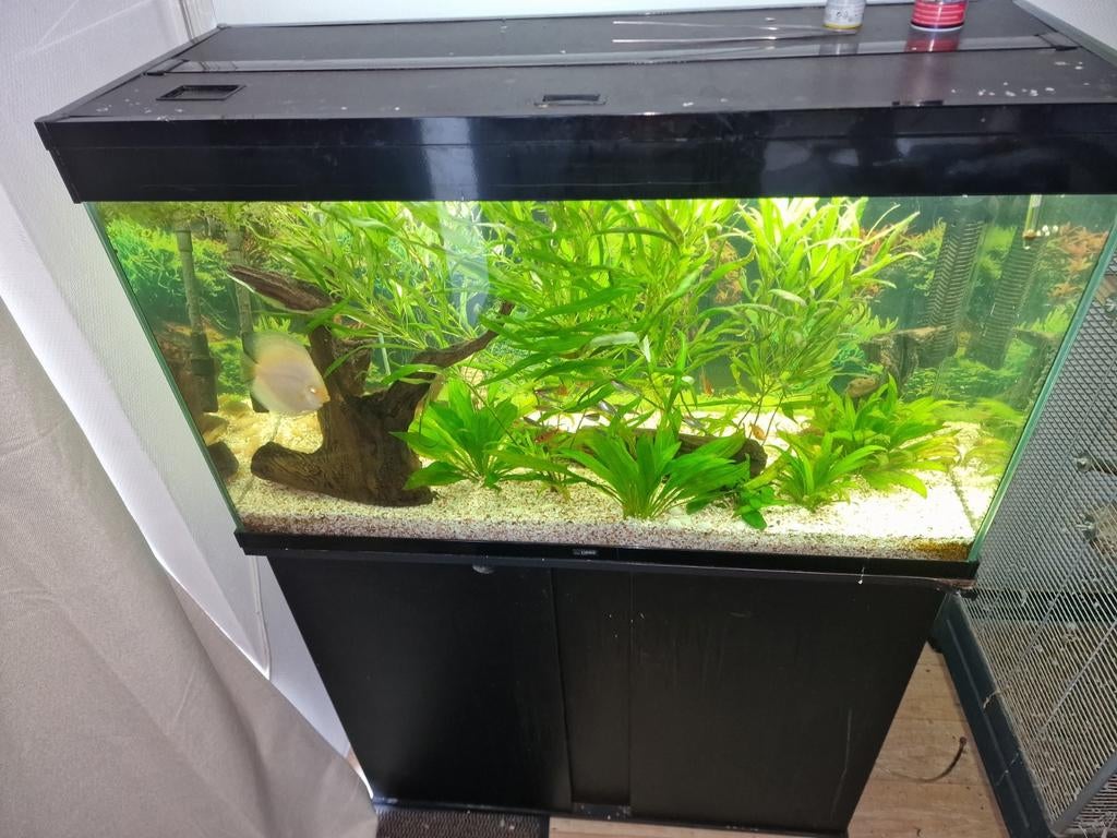 Mooi aquarium  te koop om mee te beginnen  moet weg, Ophalen of Verzenden, Zo goed als nieuw, Leeg aquarium