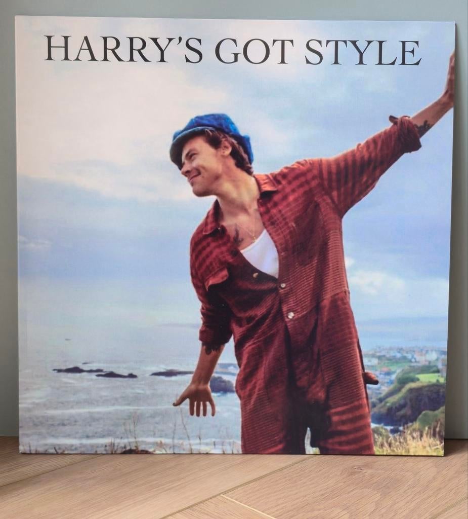 HARRY STYLES - HARRY'S GOT STYLE - UK IMPORT!!!, Cd's en Dvd's, Vinyl | Pop, Ophalen of Verzenden, Zo goed als nieuw, 12 inch