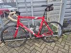 Allez Elite Specialized racefiets- Framemaat 62 XXL, Gebruikt, Aluminium, Meer dan 20 versnellingen, Ophalen