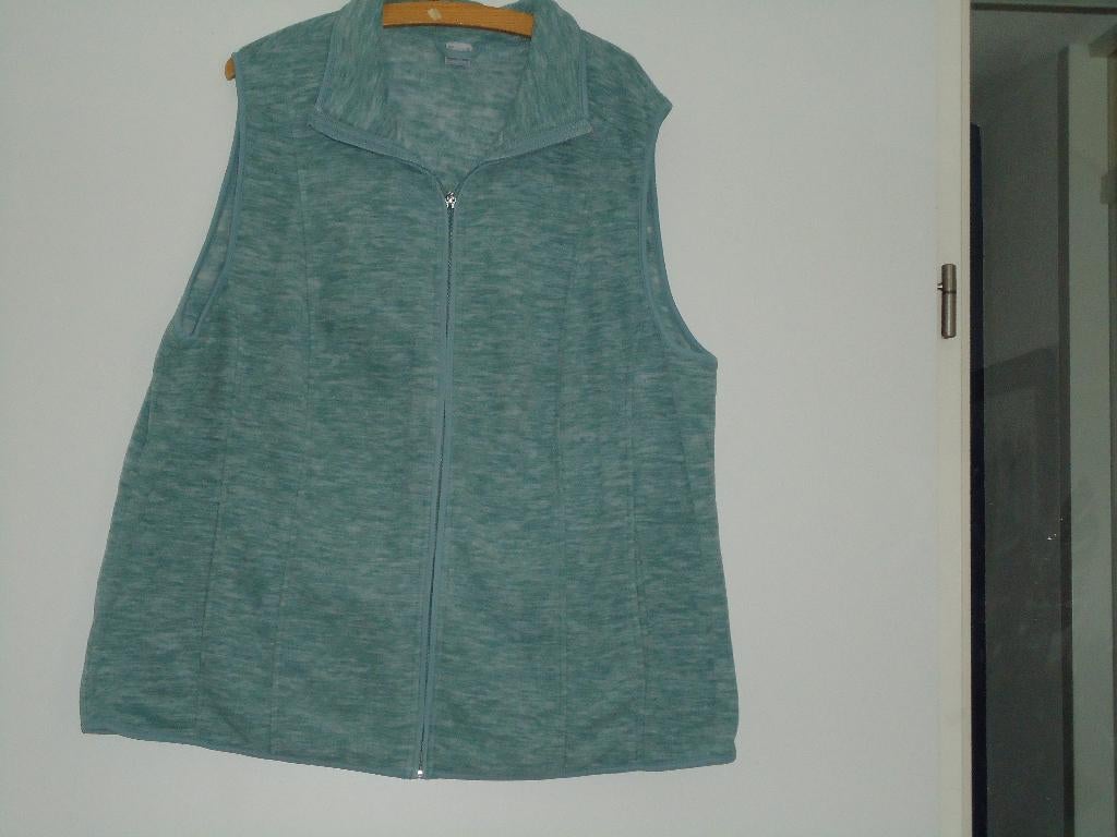 vest bodywarmer mt 50 lichtgrijs zonder mouwen, Kleding | Dames, Bodywarmers, Ophalen of Verzenden, Zo goed als nieuw, Maat 46/48 (XL) of groter