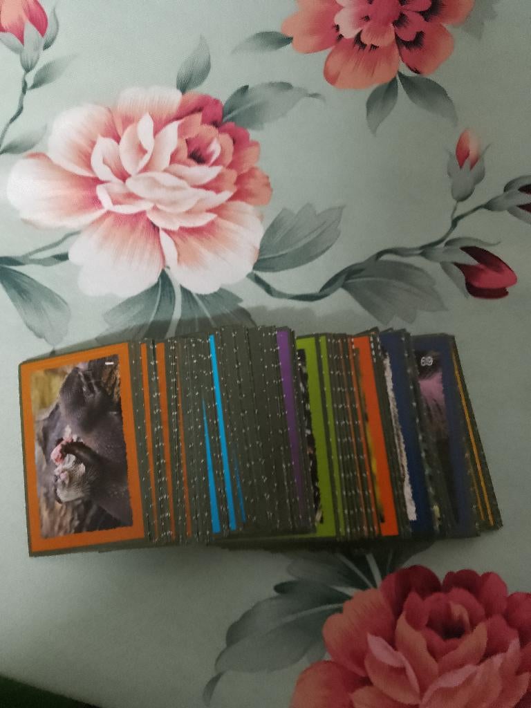 dekamarkt  artis stickers  verschillende, Ophalen of Verzenden, Nieuw, Dier en Natuur