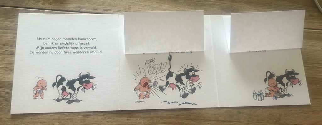 Purmerend,,2009:::Diego, Ophalen of Verzenden, 2000 tot heden