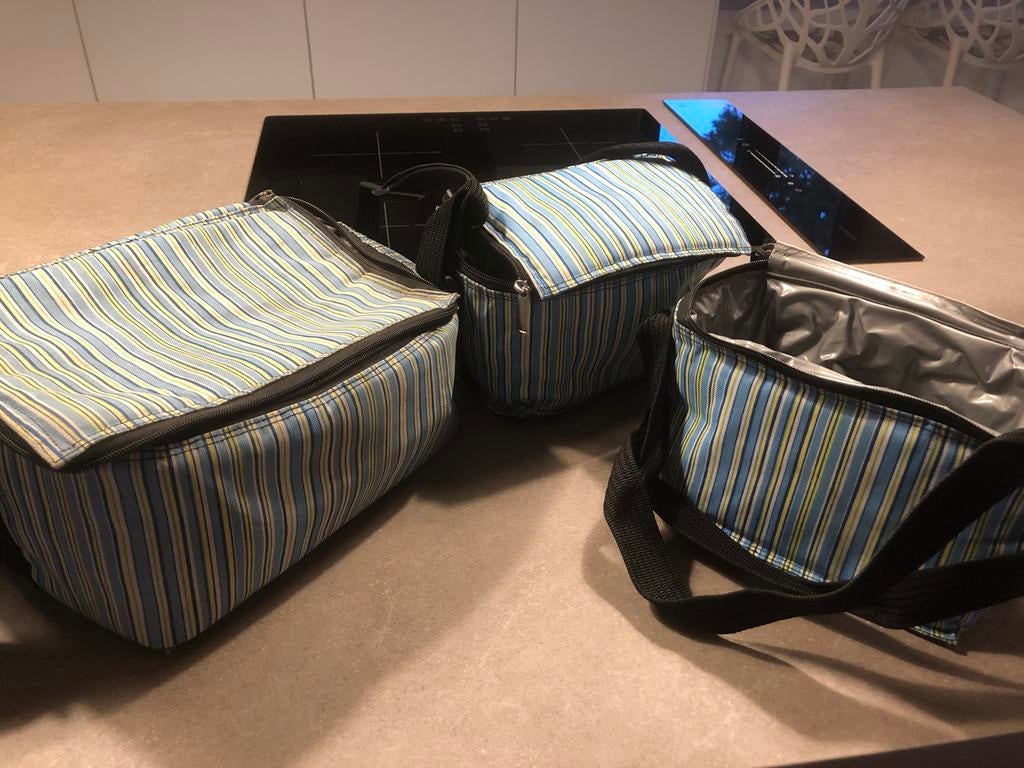 Set koeltasjes en koelbox, Ophalen, Zo goed als nieuw, Koelelement