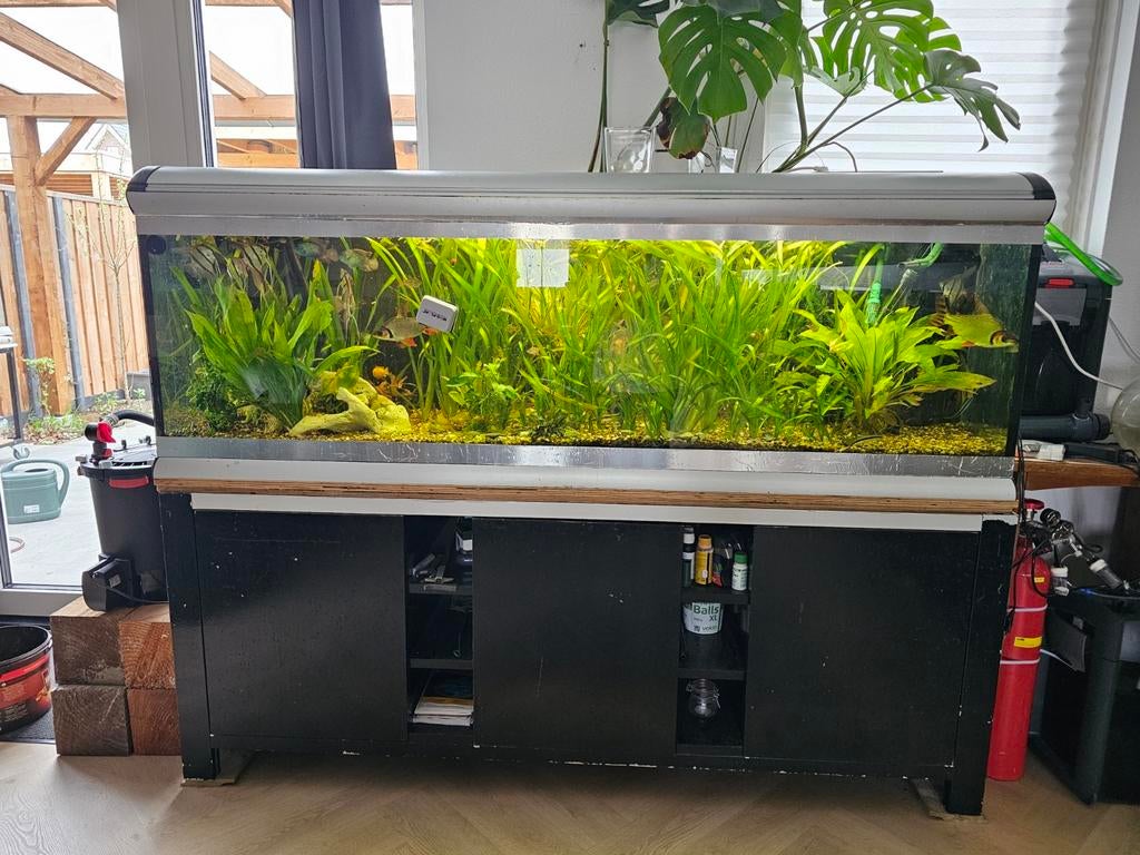 Ferplast Star 200 aquarium, Ophalen, Gevuld zoetwateraquarium