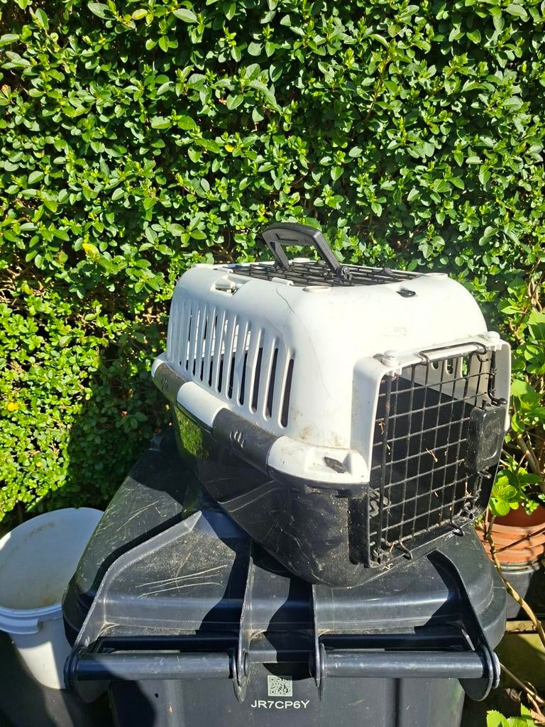 Katten reis mand, Ophalen of Verzenden