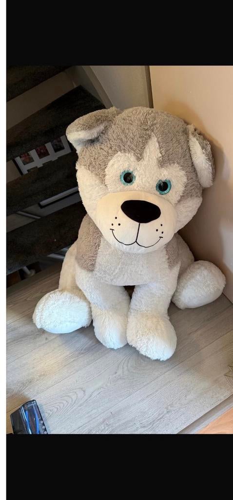 Groor knuffeldier, Kinderen en Baby's, Speelgoed | Knuffels en Pluche, Ophalen, Nieuw, Beer, Groot (groter dan 80 cm)