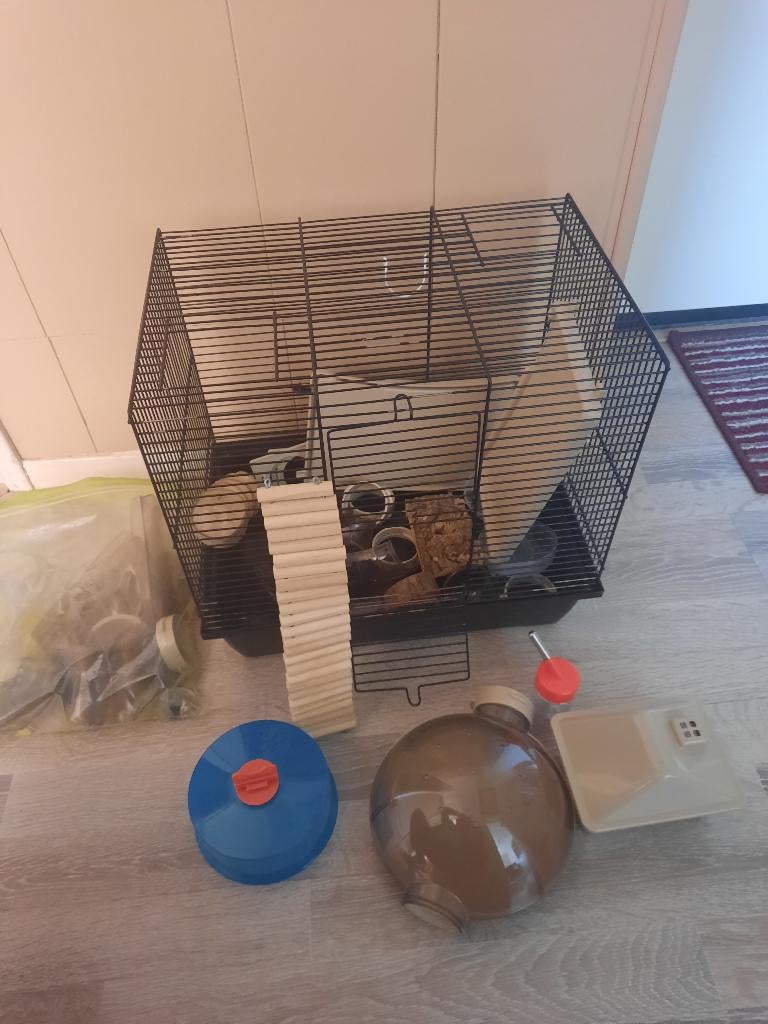 Hamsterkooi/ Knaagdieren kooi, Ophalen, Minder dan 75 cm, Kooi, Minder dan 60 cm