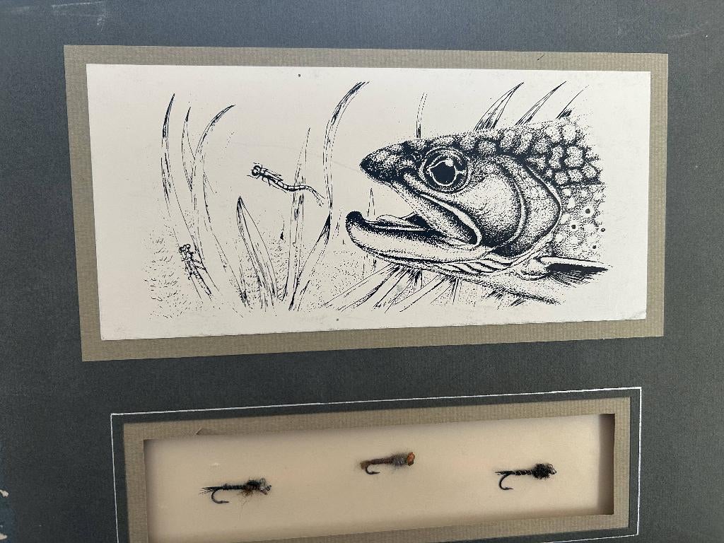 VLIEGVISSEN, Ophalen of Verzenden, Gebruikt, Overige typen