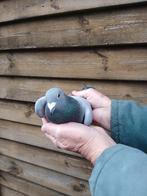 3 duivinnen jonkers/pit, Vrouwelijk, Postduif