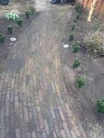 Gekleurde Waaltjes, Tuin en Terras, Ophalen, Gebruikt, Klinkers, 10 m² of meer