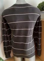 Teddy Smith trui maat XL [vm], Kleding | Heren, Ophalen of Verzenden, Zo goed als nieuw, Maat 56/58 (XL), Grijs