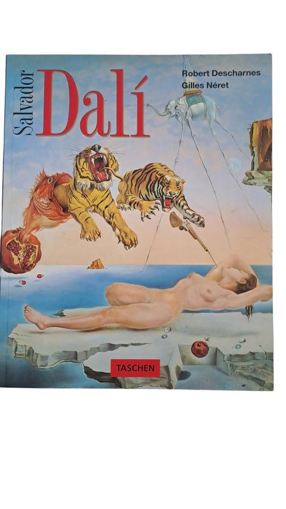 Salvador Dali kunstboek - Taschen  / Libero  groot formaat, Ophalen of Verzenden, Gelezen, Schilder- en Tekenkunst