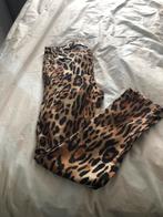 Broek met luipaardprint van I Say, Kleding | Dames, Maat 38/40 (M), Bruin, Nieuw, Ophalen of Verzenden