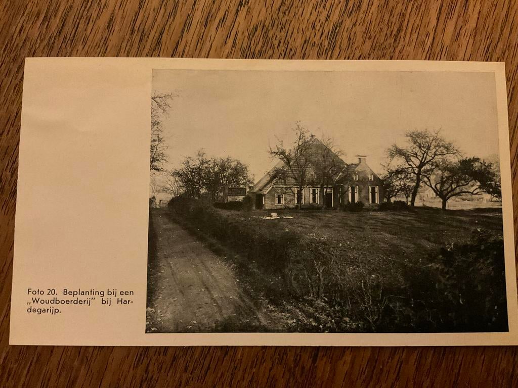 Knipsel - omgeving Hardegarijp, Ophalen of Verzenden, Friesland