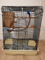 Strong Papegaaienkooi Te koop, Dieren en Toebehoren, Ophalen, Zo goed als nieuw, Metaal, Vogelkooi