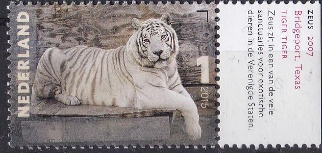 Charlotte Dumas – Zeus, witte tijger – MNH – NVPH 3334, Verzenden, Na 1940, Postfris