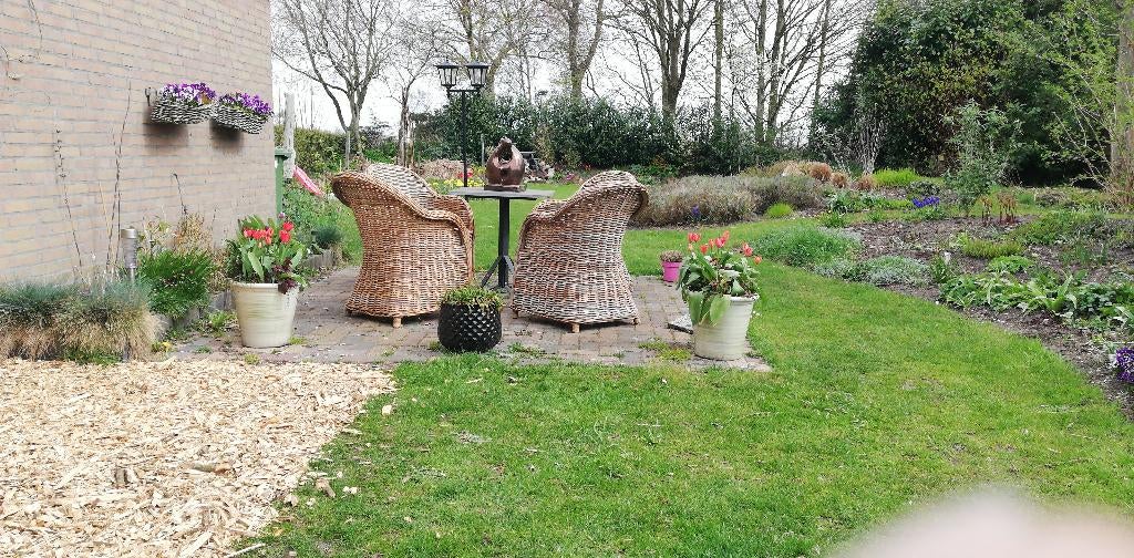 12 rieten/rotan stoelen, Tuin en Terras, Tuinstoelen, Ophalen, Gebruikt, Rotan