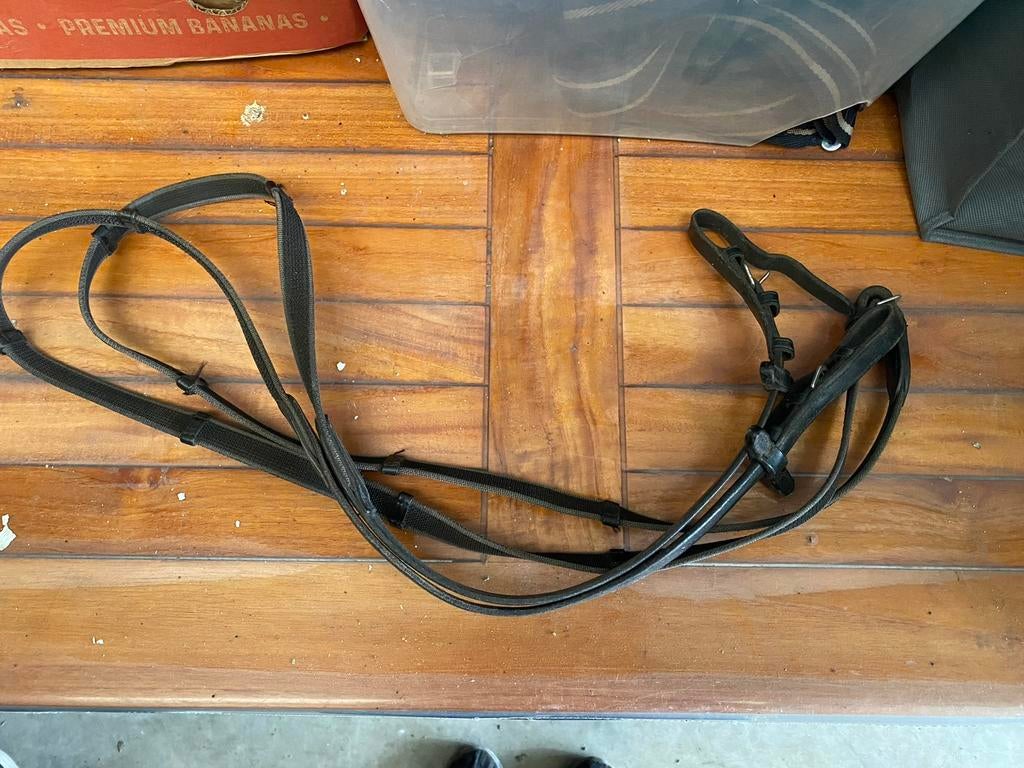 Teugels, Dieren en Toebehoren, Ophalen, Zo goed als nieuw