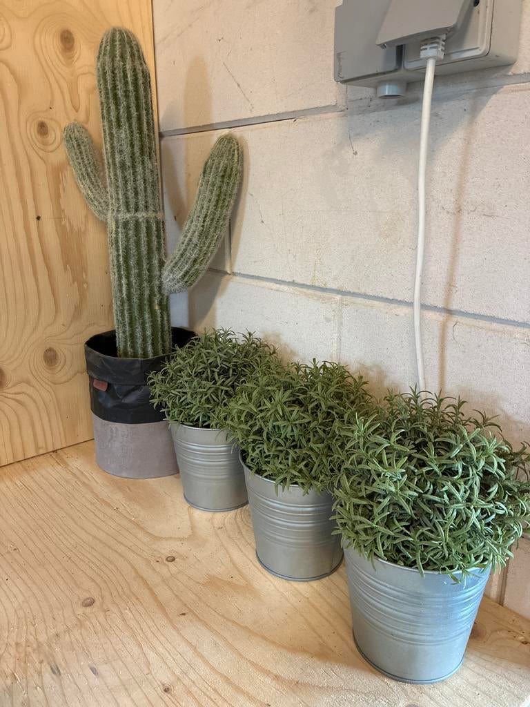 Kunstplantjes en cactus, Ophalen, Binnen, Kunstplant, Kunststof