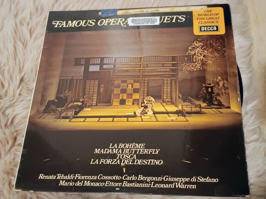 Favoriete Operette Melodieën (LP)

Mooie klassieke LP, Ophalen of Verzenden, Gebruikt, 12 inch