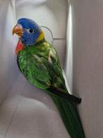 Super tamme lori, Dieren en Toebehoren, Vogels | Parkieten en Papegaaien, Geslacht onbekend, Papegaai, Tam
