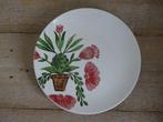 Servies MICA Decorations, beschilderd, nieuw, Huis en Inrichting, Keuken | Servies, Ophalen of Verzenden, Nieuw, Aardewerk, Overige stijlen