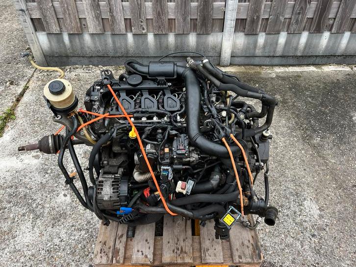 Opel vivaro 2.0cdti M9R 692, Auto-onderdelen, Motor en Toebehoren, Opel, Nieuw, Ophalen