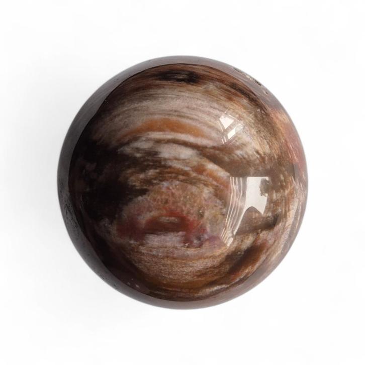 Bol versteend hout  ( Neogeen )  Diameter: 72 mm, Verzamelen, Mineralen en Fossielen, Ophalen of Verzenden