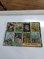 HOENDERLOO. 1981, Ophalen of Verzenden, 1980 tot heden, Gelderland