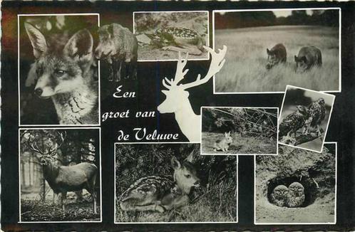 (377-175-021) De Veluwe, Verzamelen, Ansichtkaarten | Nederland, Gelderland, Verzenden