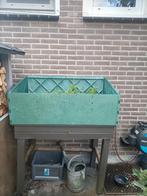 Kweekbak met deksel en extra element, Tuin en Terras, Kweekspullen, Ophalen of Verzenden, Gebruikt, Kweekbak