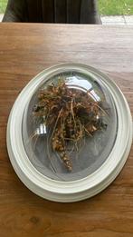 Stolp Bruidsboeket/ droogbloemen, Ophalen of Verzenden