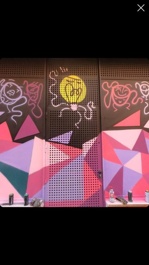 Muurschilderingen, street art, workshops en meer, Antiek en Kunst, Kunst | Overige Kunst, Verzenden