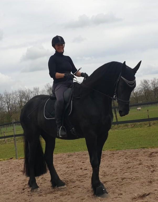 Friese merrie., Dieren en Toebehoren, Paarden, Merrie, Dressuurpaard