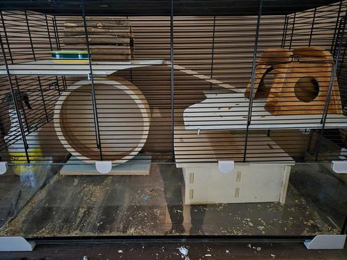 Hamsterkooi/muizenkooi, Dieren en Toebehoren, Knaagdieren en Konijnen | Hokken en Kooien, Gebruikt, Kooi, Minder dan 60 cm, 75 tot 110 cm