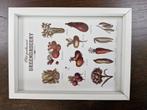 Fotolijst Old Fashioned Greengrocery - 15 x 20cm, Minder dan 50 cm, Ophalen of Verzenden, Zo goed als nieuw, Minder dan 50 cm