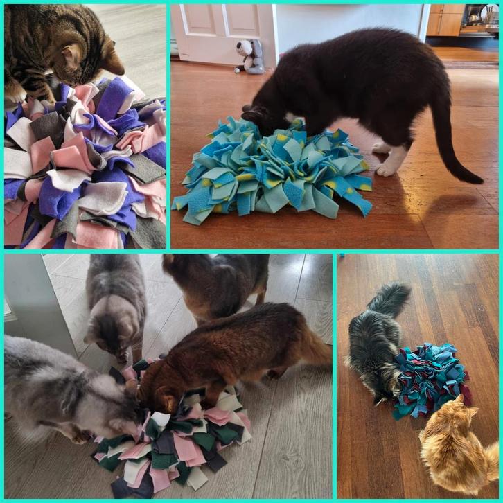 Katten snuffelmatten maat S, Dieren en Toebehoren, Kattenspeelgoed, Nieuw, Intelligentiespeelgoed, Ophalen of Verzenden