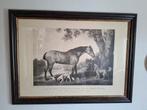 Engelse print Bay Hunter, Antiek en Kunst, Ophalen of Verzenden