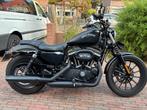 Harley-Davidson Sportster Iron 1200cc - mat zwart, Motoren, Motoren | Harley-Davidson, 2 cilinders, Particulier, Meer dan 35 kW
