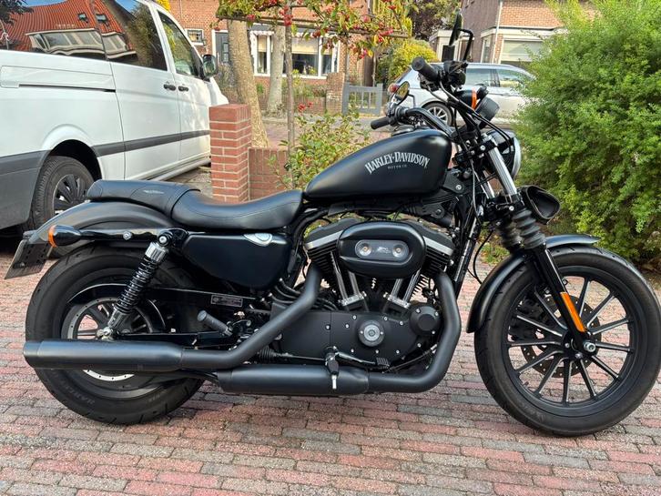 Harley-Davidson Sportster Iron 1200cc - mat zwart, Motoren, Motoren | Harley-Davidson, Particulier, Chopper, meer dan 35 kW, 2 cilinders