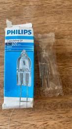 Nieuw ! Philips Capsuleline LV 35W 600lm 4000h Clear, Nieuw, Overige typen, Ophalen of Verzenden, 30 tot 60 watt