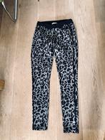 Studio Anneloes broek maat XS, Ophalen of Verzenden, Zo goed als nieuw, Maat 34 (XS) of kleiner, Zwart