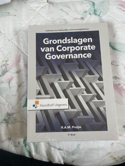 Grondslagen van Corporate Governance, Boeken, Economie, Management en Marketing, Nieuw, Management, Ophalen of Verzenden
